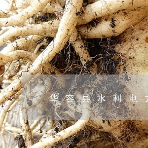 华容县水利电力律师在线免费咨询 华容县水利电力律师在线免费咨询