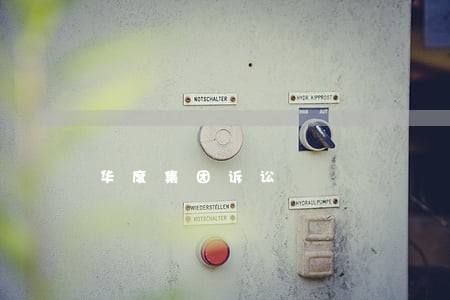 华度集团诉讼 华度集团诉讼