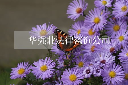 华强北法律咨询公司 华强北法律咨询公司