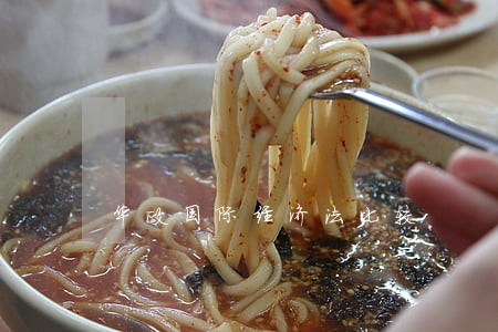 华政国际经济法比较 华政国际经济法比较