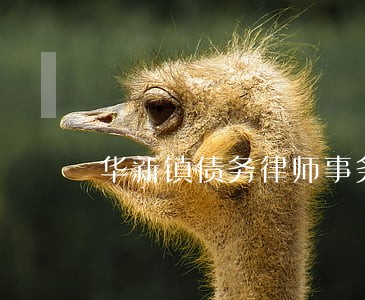 华新镇债务律师事务所 华新镇债务律师事务所