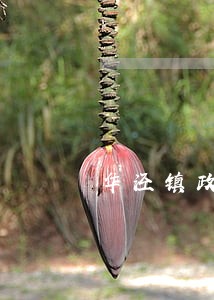 华泾镇政府司法办公室 华泾镇政府司法办公室