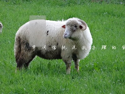 华润信托说我办理的贷款逾期