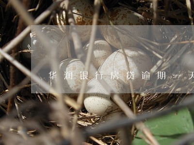 华润银行房贷逾期一天