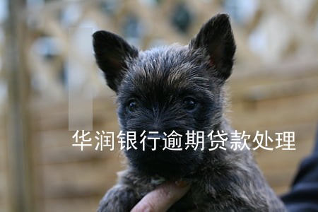 华润银行逾期贷款处理 华润银行逾期贷款处理