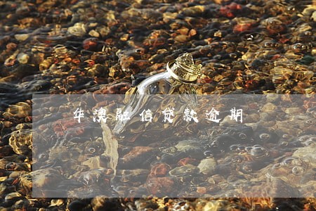 华澳融信贷款逾期 华澳融信贷款逾期