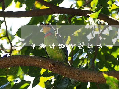 华瀚诉讼保全担保
