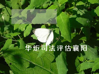 华炬司法评估襄阳 华炬司法评估襄阳
