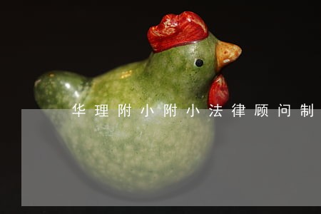 华理附小附小法律顾问制度 华理附小附小法律顾问制度