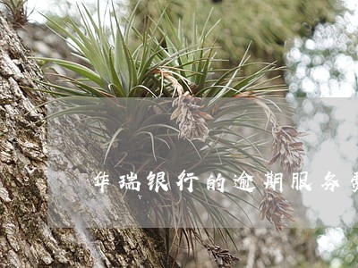 华瑞银行的逾期服务费 华瑞银行的逾期服务费