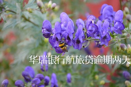 华瑞银行航旅贷逾期两天 华瑞银行航旅贷逾期两天