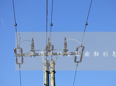华瑞银行贷款逾期利息 华瑞银行贷款逾期利息