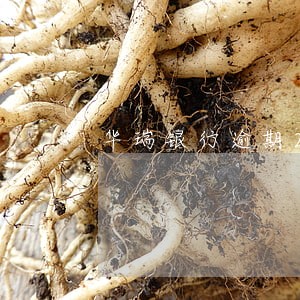 华瑞银行逾期2年 华瑞银行逾期2年