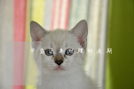 华盛达集财理财逾期 华盛达集财理财逾期
