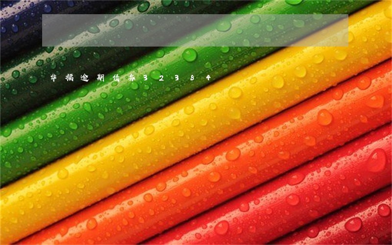 华福逾期债务32384