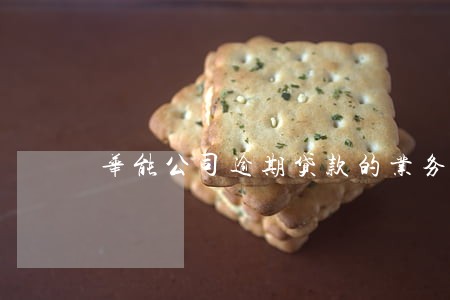 华能公司逾期贷款的业务处理 华能公司逾期贷款的业务处理