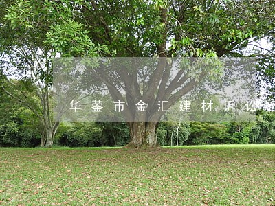 华蓥市金汇建材诉讼