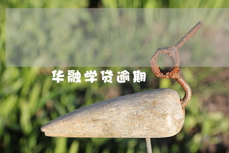 华融学贷逾期