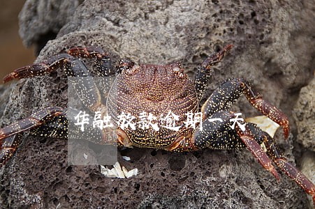 华融放款逾期一天 华融放款逾期一天