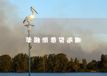 华融消费贷逾期 华融消费贷逾期