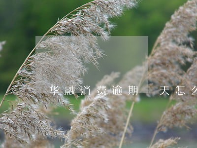 华融消费逾期一天怎么补救 华融消费逾期一天怎么补救