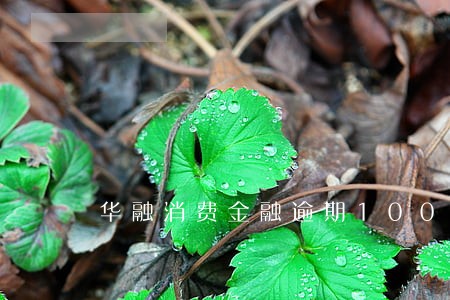 华融消费金融逾期100天 华融消费金融逾期100天