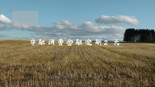 华融消费金融逾期2天 华融消费金融逾期2天
