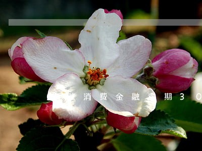 华融消费金融逾期300多天 华融消费金融逾期300多天