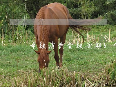 华融消费金融逾期6个月 华融消费金融逾期6个月