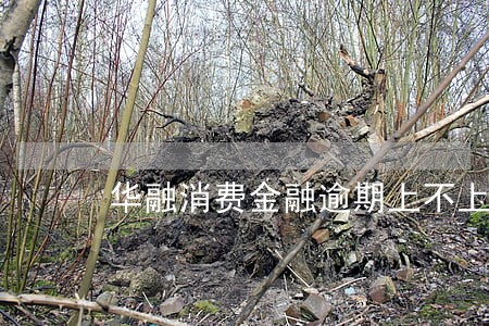 华融消费金融逾期上不上征信 华融消费金融逾期上不上征信
