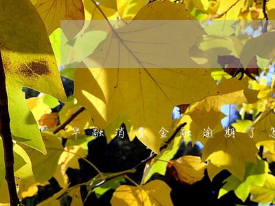 华融消费金融逾期了怎么还款 华融消费金融逾期了怎么还款