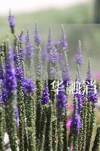 华融消费金融逾期几天上征信 华融消费金融逾期几天上征信