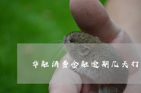 华融消费金融逾期几天打联系人 华融消费金融逾期几天打联系人