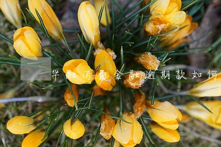 华融消费金融逾期款如何还