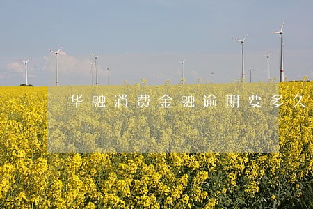 华融消费金融逾期要多久消 华融消费金融逾期要多久消