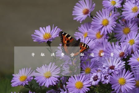 华融消费金融逾期费