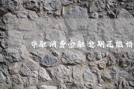 华融消费金融逾期还能借嘛