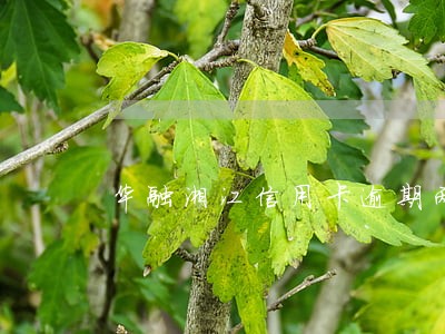 华融湘江信用卡逾期两年开庭