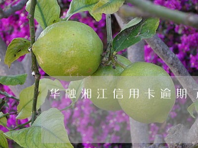 华融湘江信用卡逾期了怎么办 华融湘江信用卡逾期了怎么办
