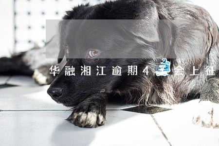 华融湘江逾期4天会上征信吗 华融湘江逾期4天会上征信吗