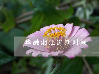 华融湘江逾期时间 华融湘江逾期时间