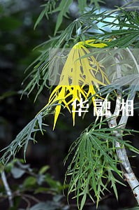 华融湘江银行还房贷款逾期 华融湘江银行还房贷款逾期