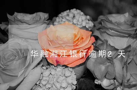 华融湘江银行逾期2天 华融湘江银行逾期2天