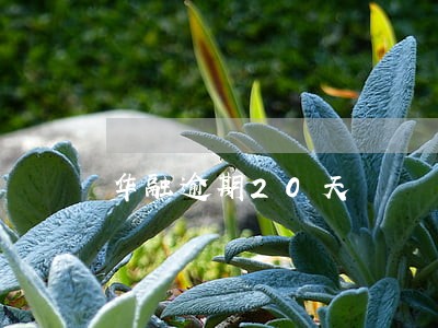 华融逾期20天 华融逾期20天