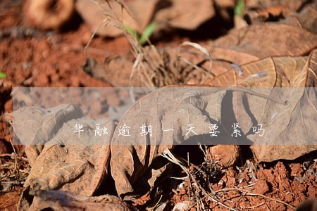 华融逾期一天要紧吗 华融逾期一天要紧吗