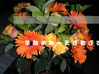 华融逾期一天还款还可以再借吗 华融逾期一天还款还可以再借吗