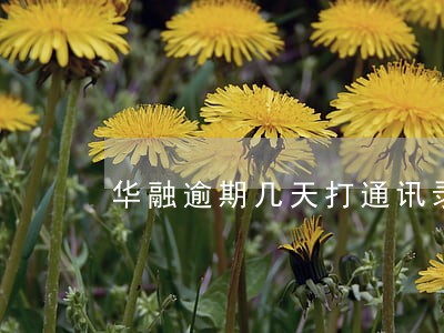 华融逾期几天打通讯录 华融逾期几天打通讯录