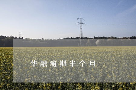 华融逾期半个月 华融逾期半个月