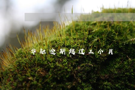 华融逾期超过三个月 华融逾期超过三个月