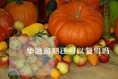 华融逾期还可以复借吗 华融逾期还可以复借吗